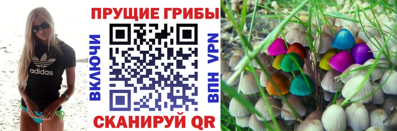 Галлюциногенные грибы MAGIC MUSHROOMS Безенчук